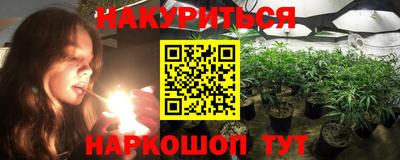 прущий лед Новозыбков