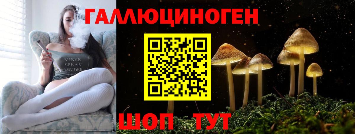 Псилоцибиновые грибы Psilocybine cubensis  Вход с VPN  Псилоцибиновые грибы мицелий  Туапсе 